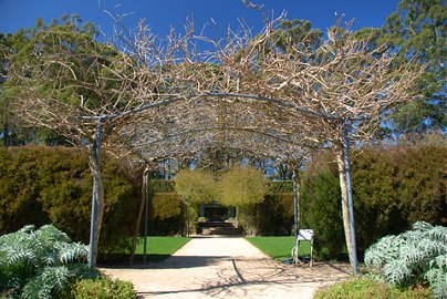 Mount Tomah Botanic Gardens