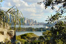 Things To Do In Sydney - Taronga Zoo